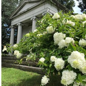 Harleigh Cemetery Flowers in front of Monument
